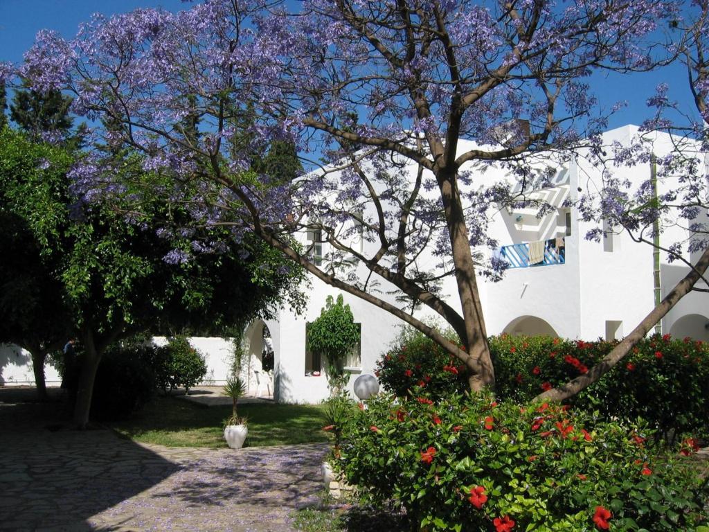 האממט Hotel Residence La Paix מראה חיצוני תמונה
